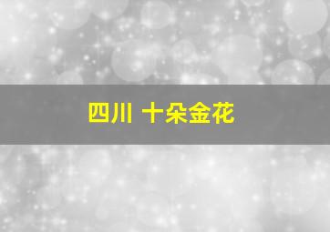 四川 十朵金花